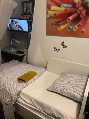 Chambre Arc Triomphe Champs Elysees